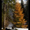 20131106_0025